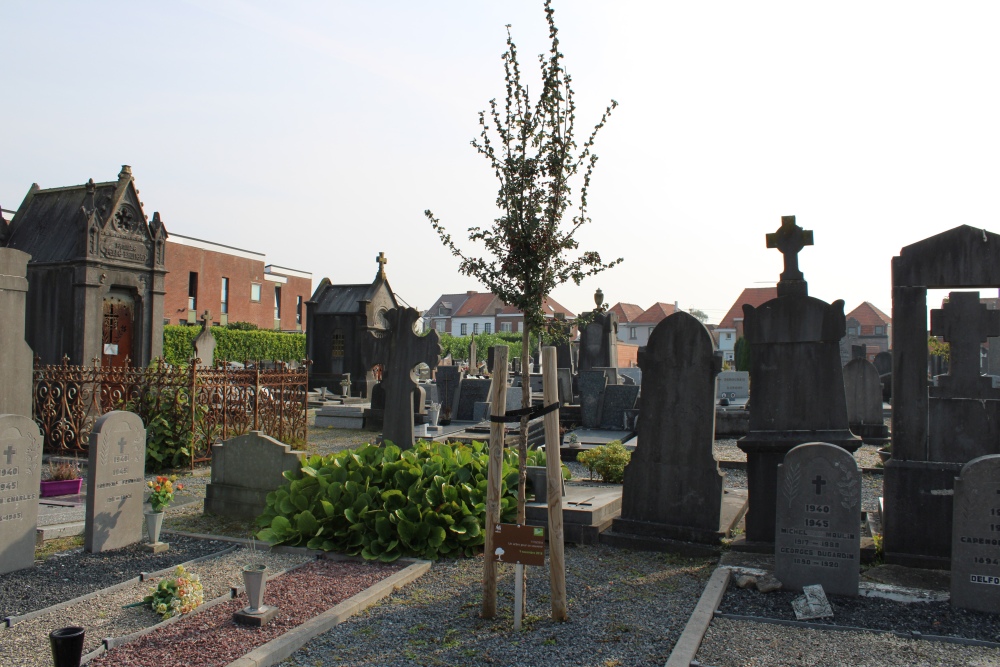 Memorial Tree Cemetery Kain #1