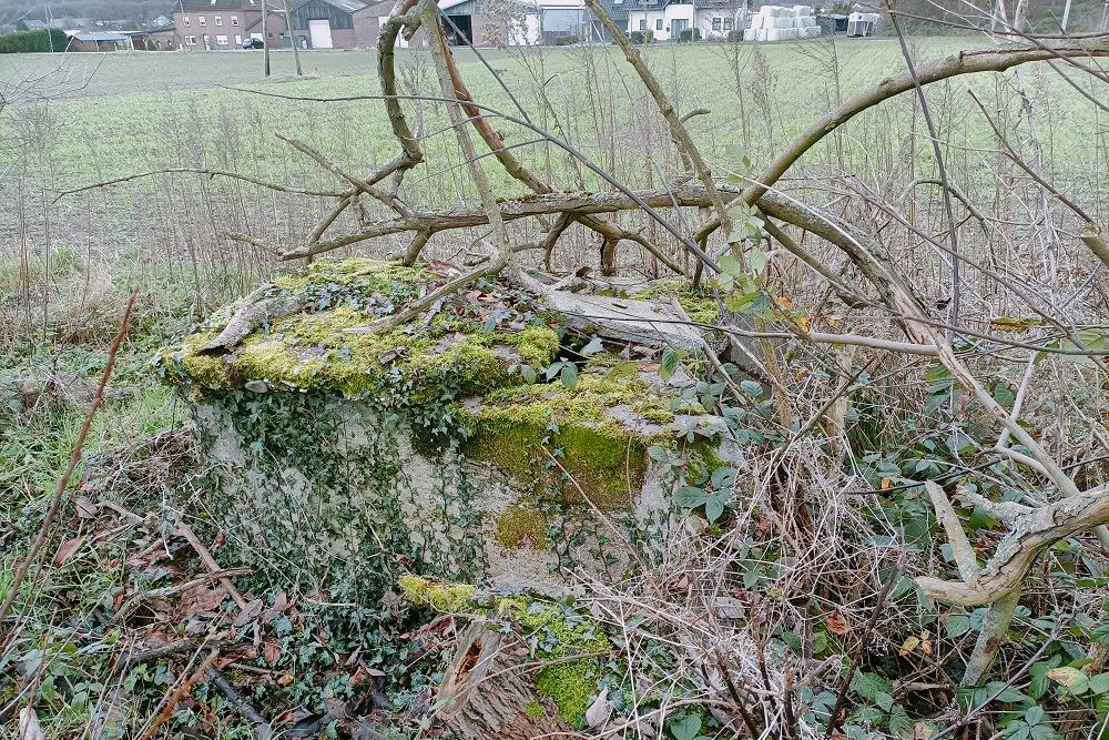 Air Raid Shelter Fliegerhorst Venlo #1