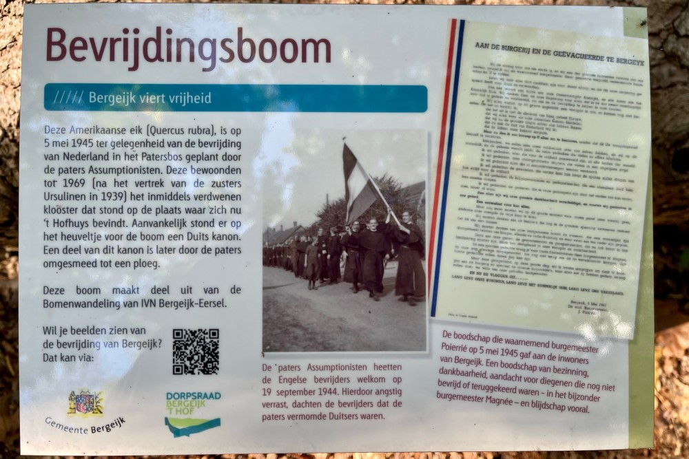 Bevrijdingsboom Bergeijk #5