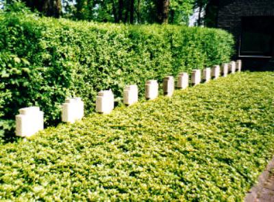 German War Graves Crange