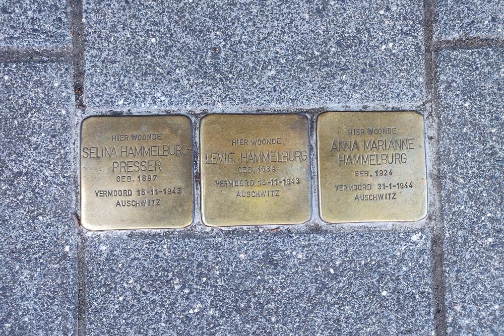 Stolpersteine Willemsparkweg 213 #1