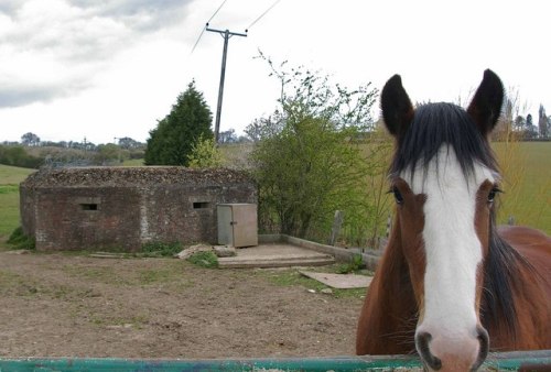 Pillbox FW3/24 Rettendon #1