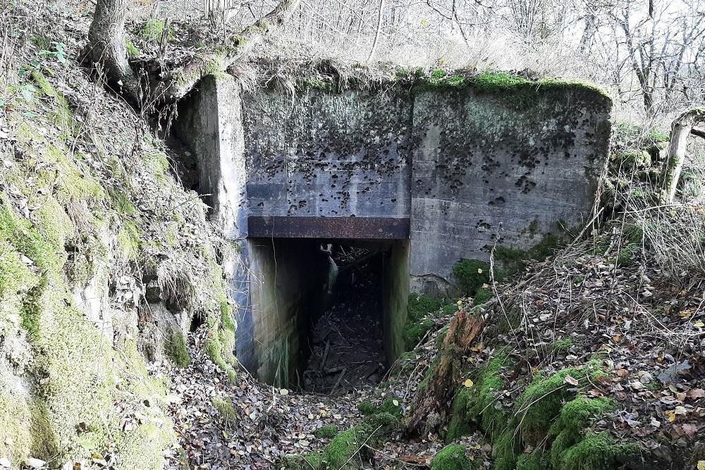 Westwall - Bunker #1
