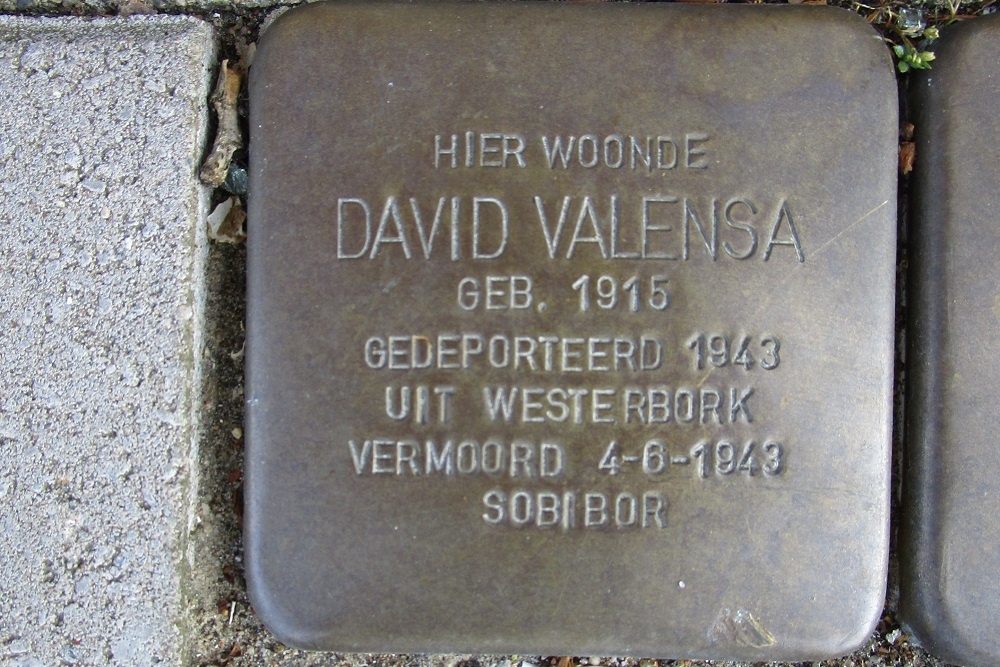 Stolpersteine President Steynplantsoen 3 #2