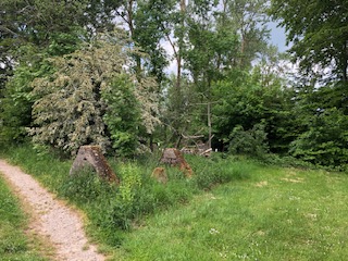 Westwall - Tank Barrier Paustenbach #4