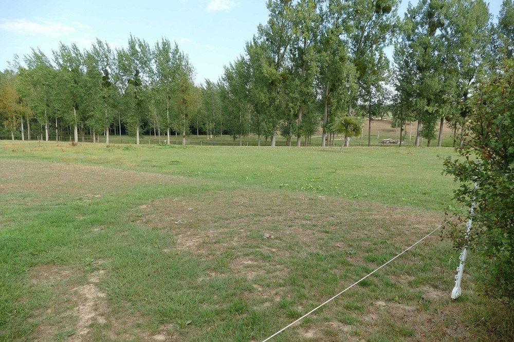 Former German War Cemetery Overrepen #1