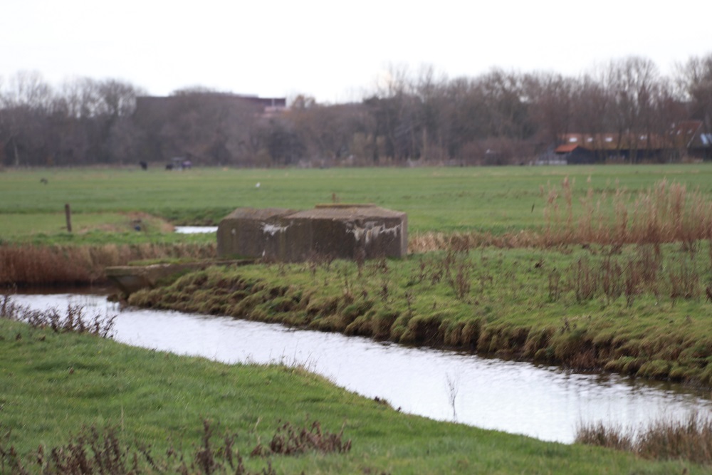 Flugfeld Bergen - Ringstand Tobruk Bunker #1