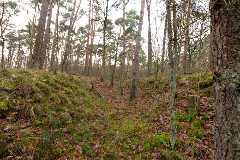 German Anti-Tankditch Near Ringstand 80 #4