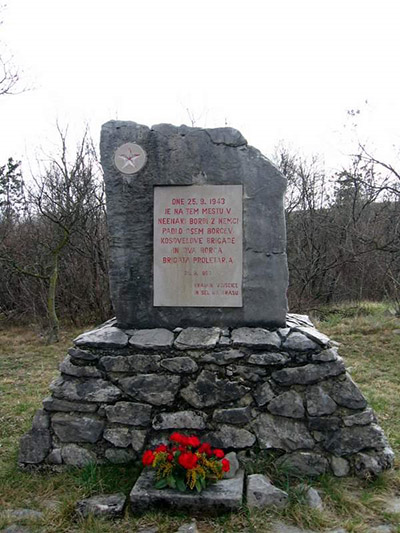 Partisan Memorial Vojscica #1