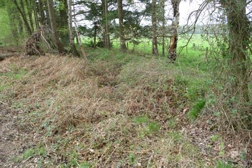 Loopgraaf Propsteier Wald #1