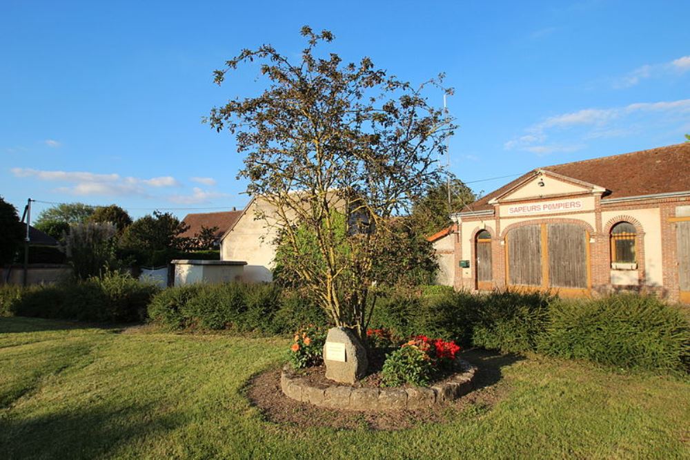 Remembrance Tree 50th Anniversary Return from the Camps