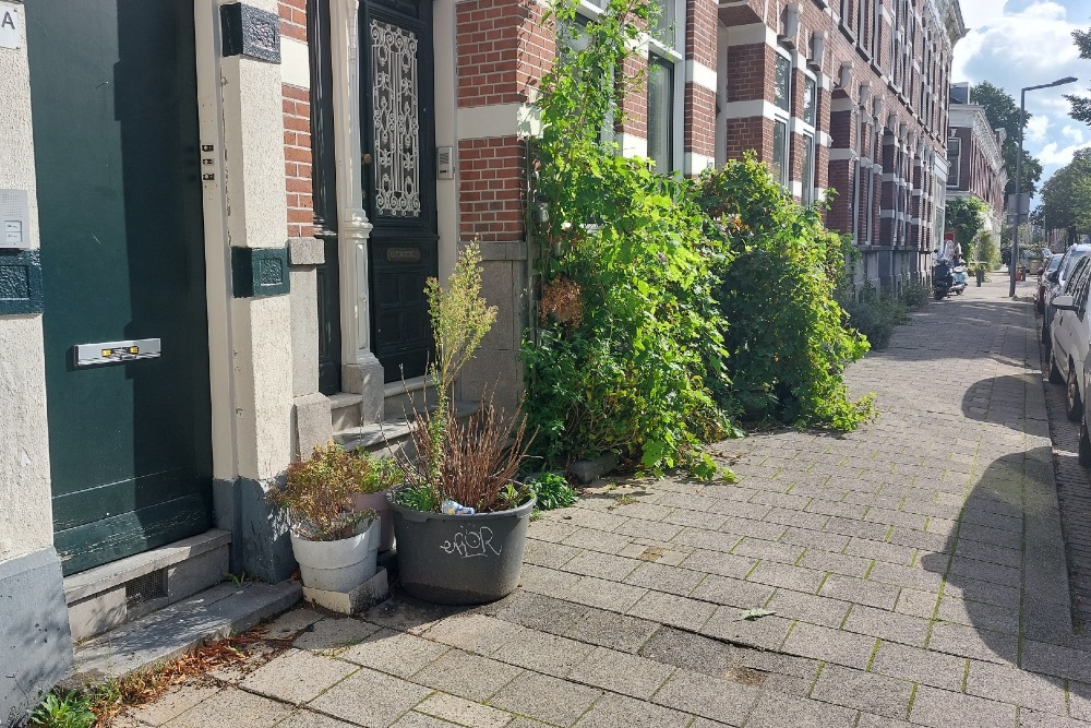 Stumbling Stones Gerard Scholtenstraat 49 #3