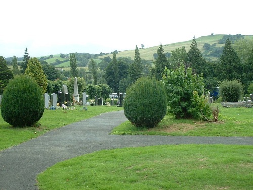 Commonwealth War Graves Newtown and Llanllwchaiarn Cemetery #1