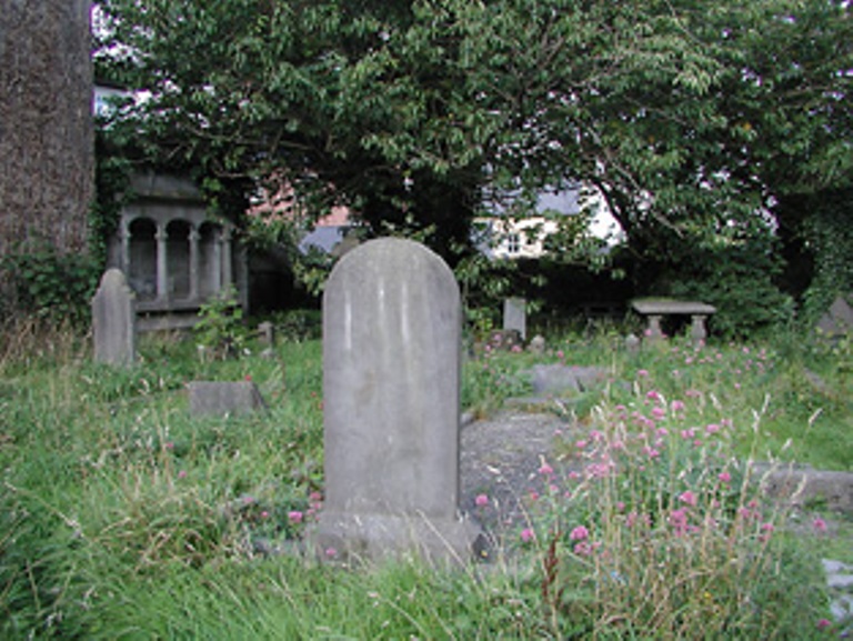 Commonwealth War Graves St. Mary Church of Ireland Churchyard #1