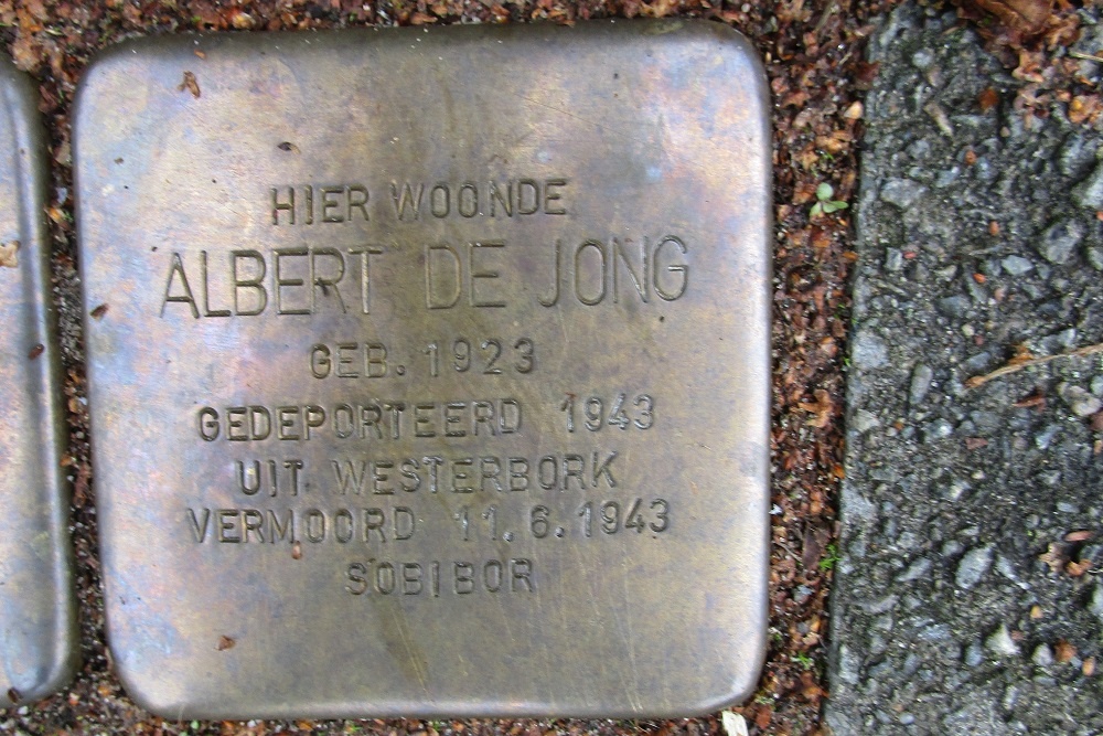 Stolpersteine Molirelaan 8 #2