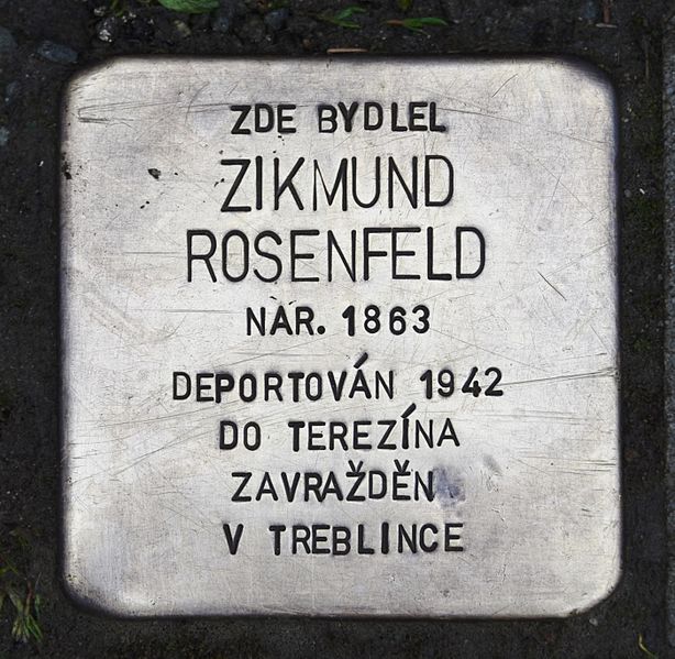 Stolperstein Na Letn 207/15