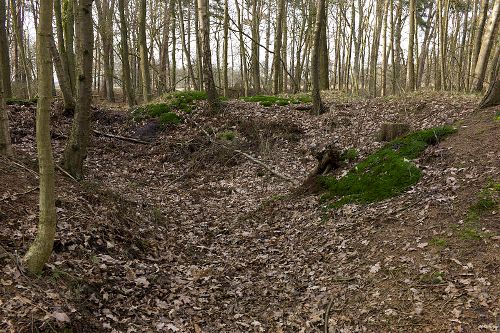 Remains German Anti-tank Ditch Hoogersmilde #1
