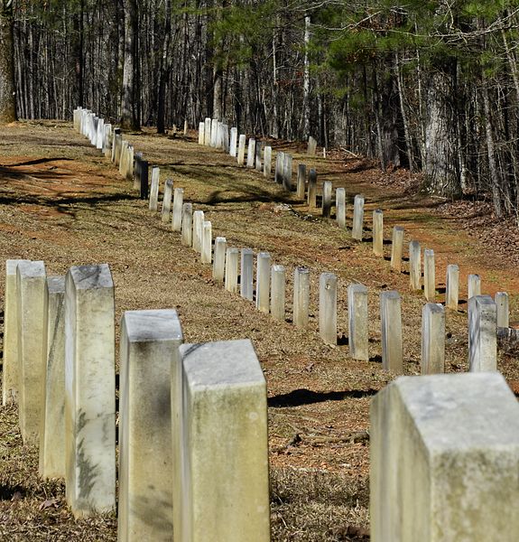 Confederate Cemetery Shelby Springs #1