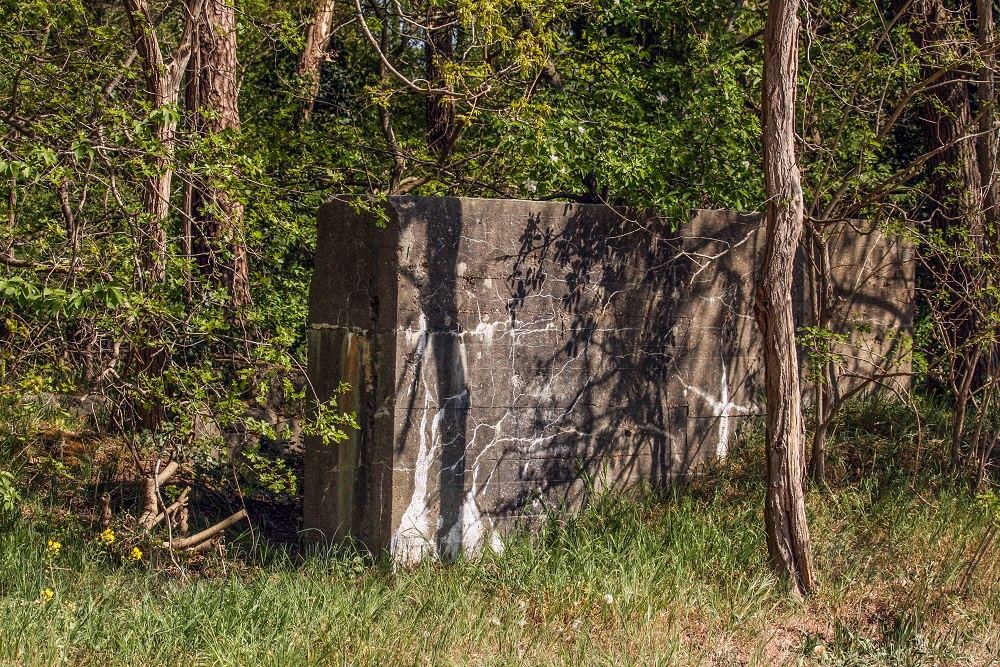 Restant Bunker Vliegveld Gilze Rijen #1