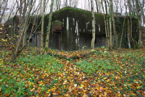 Maginotlinie - Kazemat du Bois-de-Beuveille