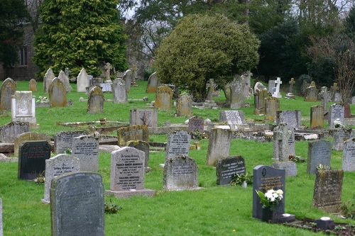 Oorlogsgraven van het Gemenebest St Michael Churchyard #1