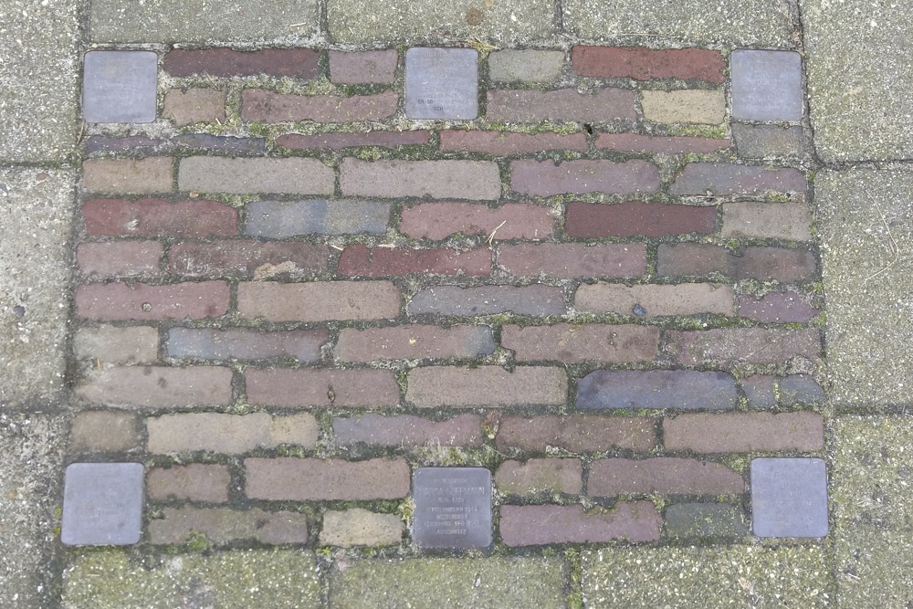 Stolpersteine Deldenerstraat 85 #1