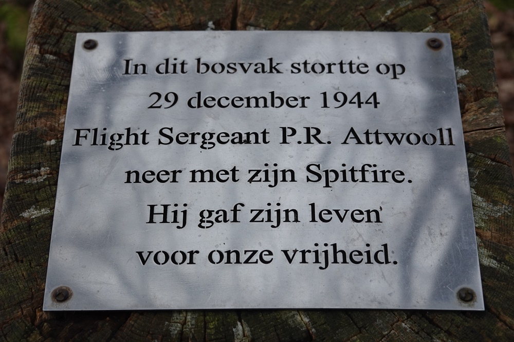 Memorial Crash Sergeant Peter Ralph Attwool #3