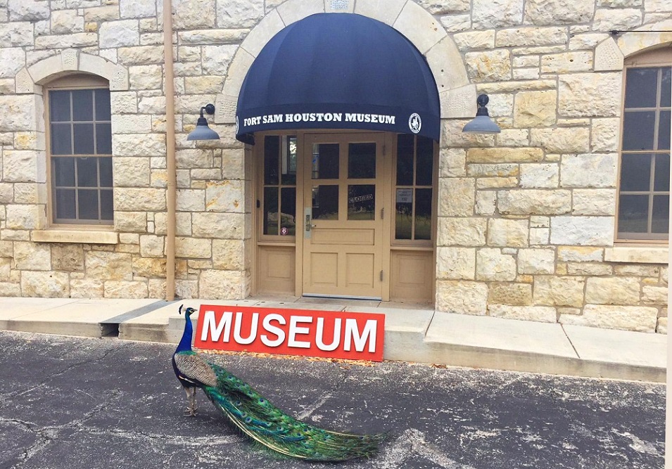 Fort Sam Houston Museum #1