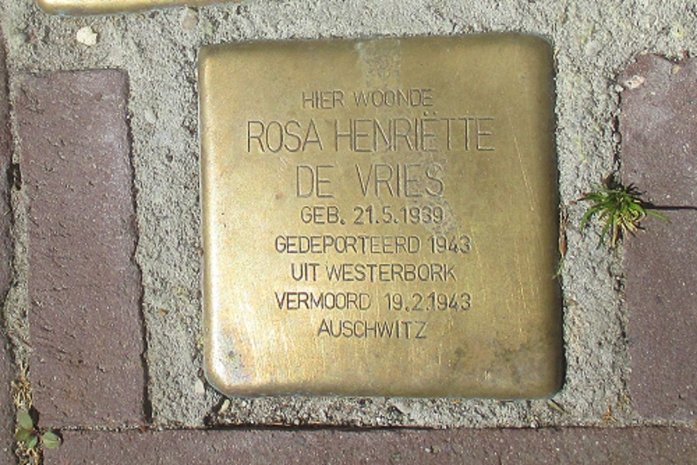 Stolpersteine Kniestraat 13 #4