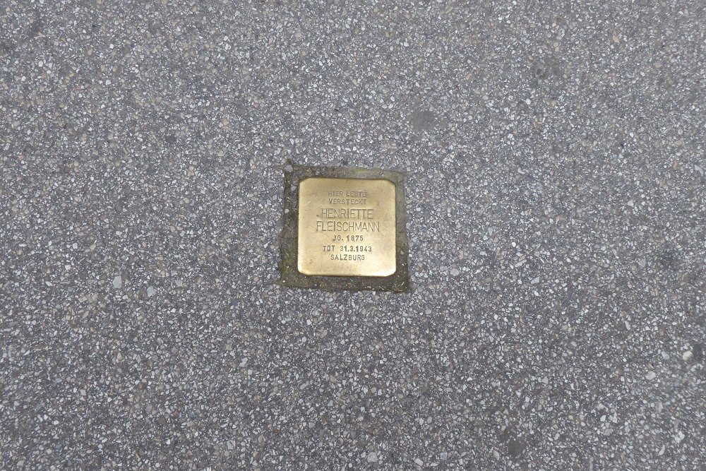 Stolperstein Kaigasse 8 #2