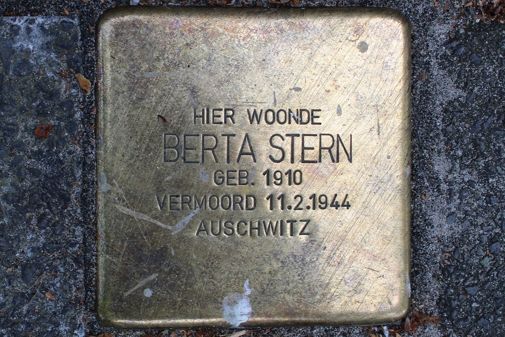 Stolpersteine Van Noremborghstraat 32 #3