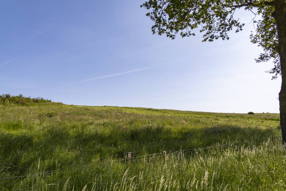 Operatie Market Garden Dropzone A