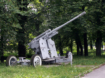 Festung Königsberg - Fort V 