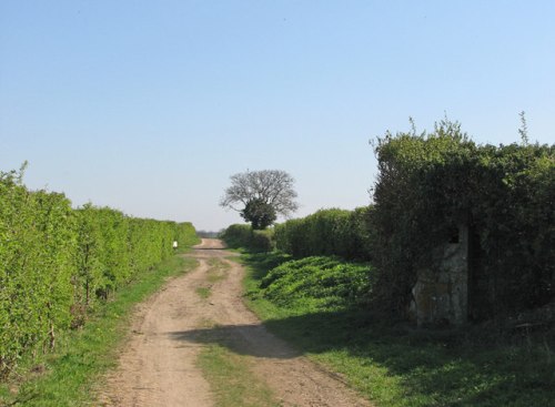 Pillbox FW3/22 Thriplow #1