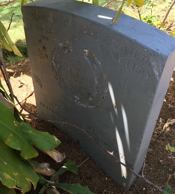 Commonwealth War Grave Montego Bay Cemetery #1