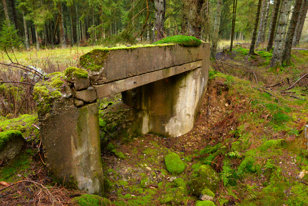 Westwall MG Shield Wahlerscheid