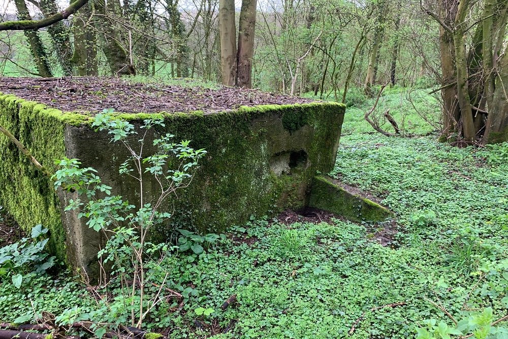 Bunker C - Position Avancée Beusdael #2