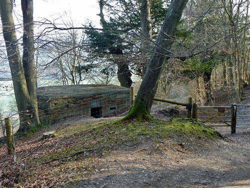 Pillbox FW3/24 Wotton #1