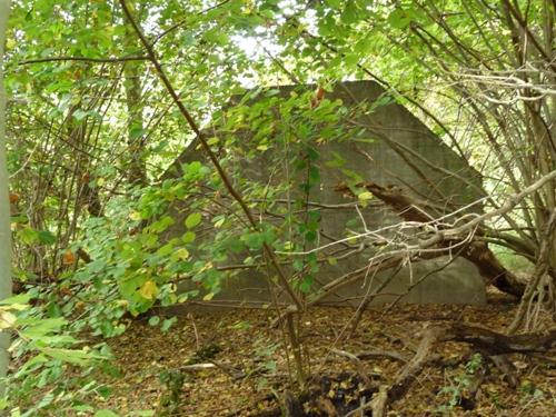 Group Shelter Type P Amelisweerd #2