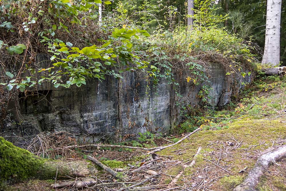 Ammunition Bunker Mausbach #2