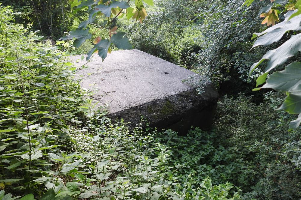 Belgische Bunker Bels Lijntje #2