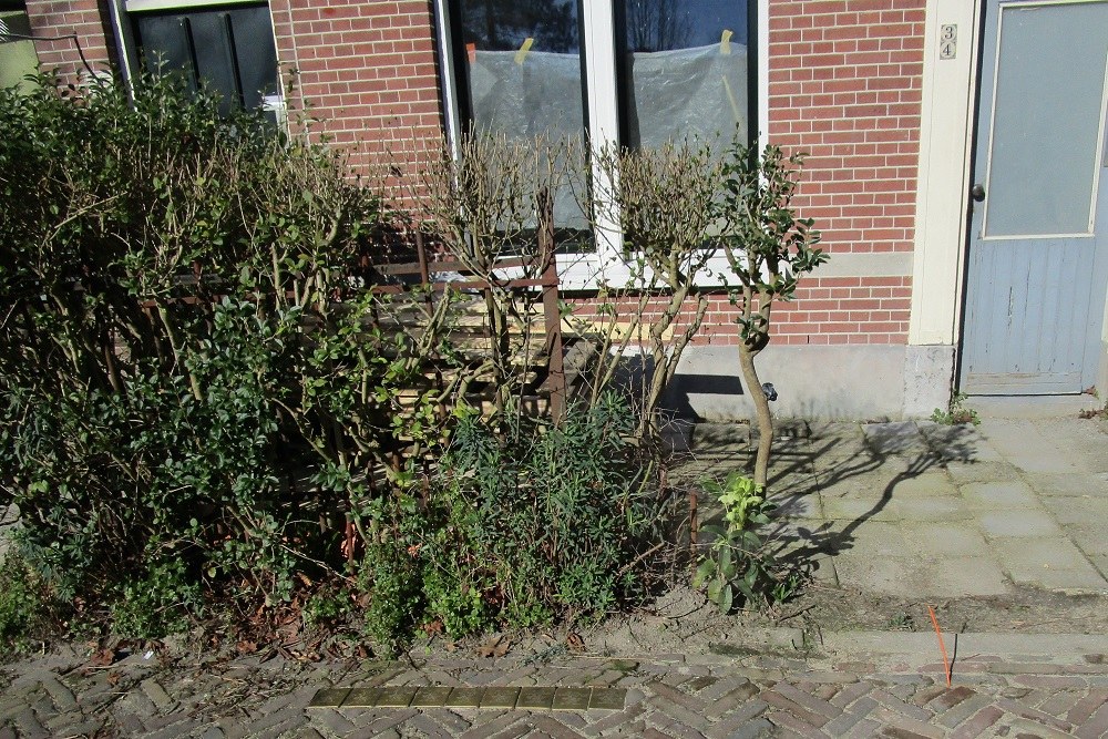 Stolpersteine Laan van Overvest 34 #5