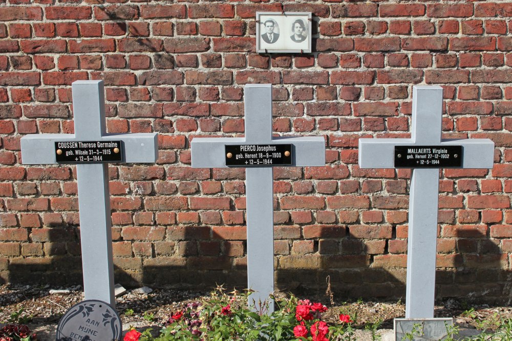 Belgische Oorlogsgraven Wilsele #3
