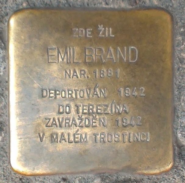 Stolperstein Vodn 56/11 #1