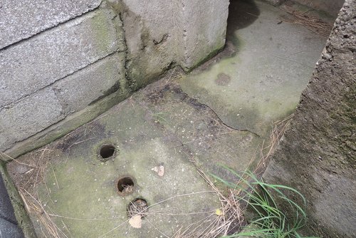 Stützpunkt Große Kurfürst - Tobruk 1 Fort Ellewoutsdijk #3