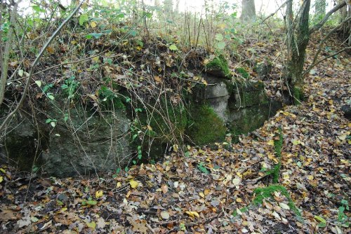 Remains German Bunker Groeneburg Wood #1