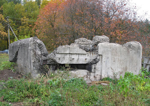 Stalin Line - Remains Casemate No. 133 #1