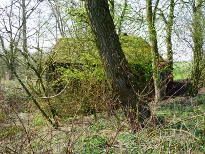 Group Shelter Type P Nieuwe Zuiderlingedijk #1