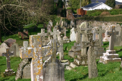 Oorlogsgraven van het Gemenebest St. John the Baptist Churchyard #1