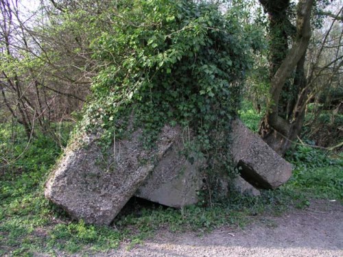 Roadblock Broadbridge Heath #1